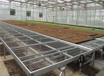 育苗床系统