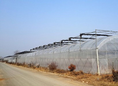 连栋薄膜温室