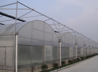 连栋薄膜温室