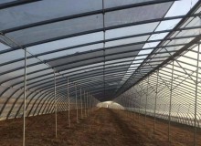 温室大棚放风的科学方法